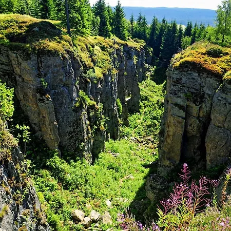 Restaurant A Bohemia Horní Blatná